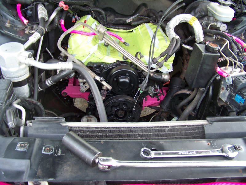 Name:  102_0746.jpg
Views: 83
Size:  109.0 KB