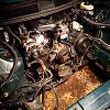 Sydneys Progress-img_3433.jpg