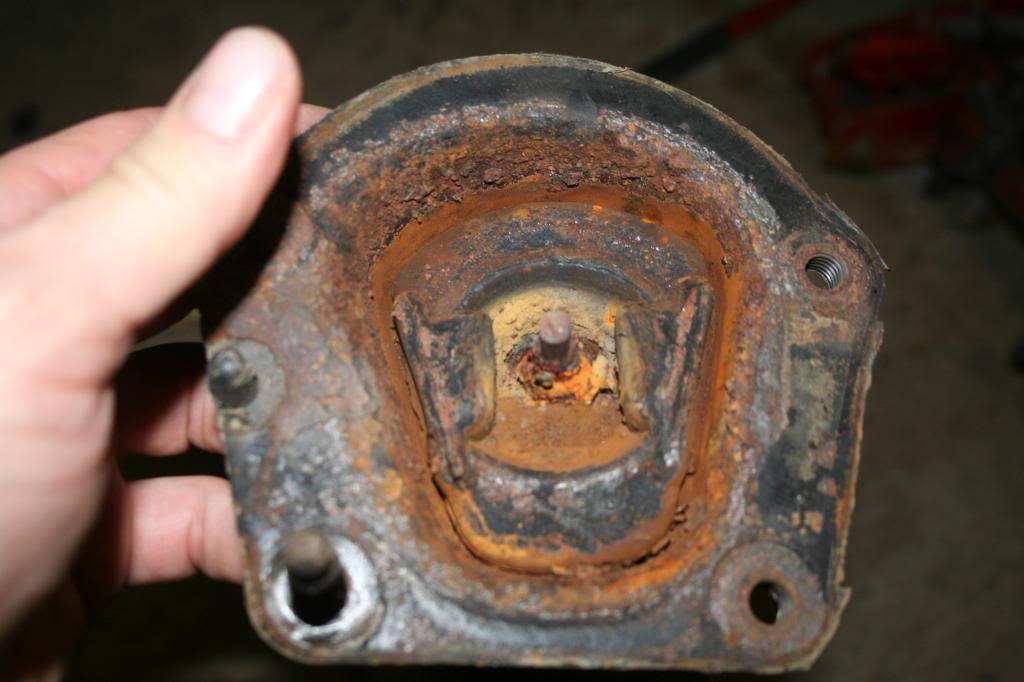 Name:  IMG_8497_zps0581df4c.jpg
Views: 115
Size:  65.6 KB