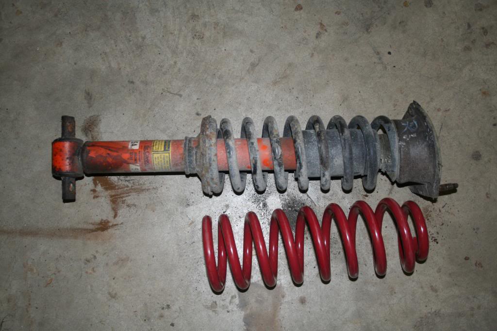 Name:  IMG_8496_zpsf8085d67.jpg
Views: 207
Size:  88.3 KB