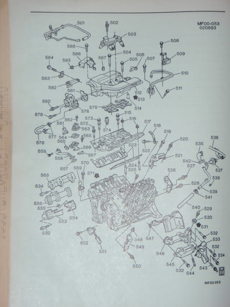 Name:  P8100003.jpg
Views: 21
Size:  106.1 KB