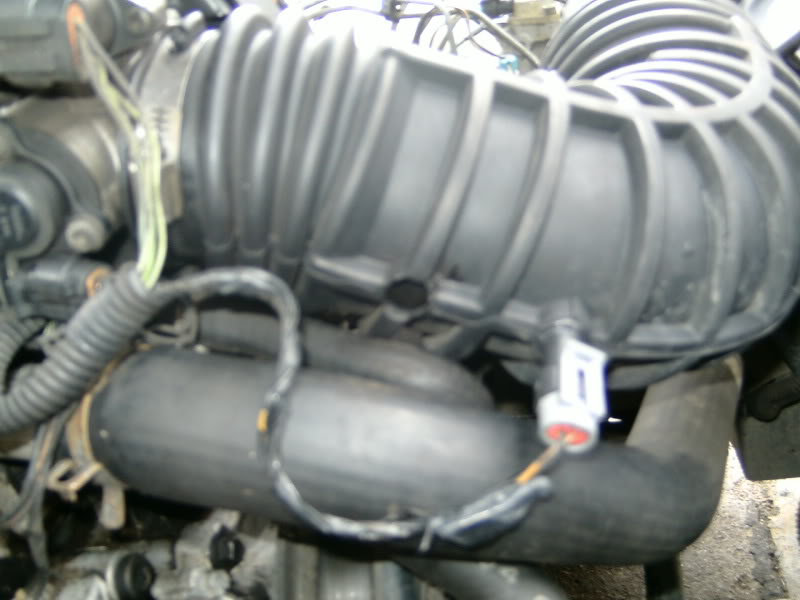 Name:  PICT0229.jpg
Views: 108
Size:  87.8 KB