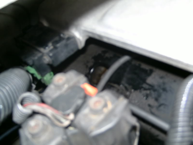 Name:  PICT0230.jpg
Views: 77
Size:  57.3 KB