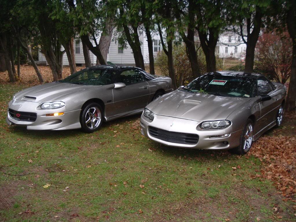 Name:  DSCF1849.jpg
Views: 124
Size:  140.8 KB