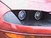 Angel Eyes on my Maro-dsc00101.jpg