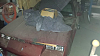 New Owner from australia-untitled3.png