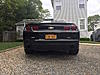 Hi From Long Island NY-img_0529.jpg