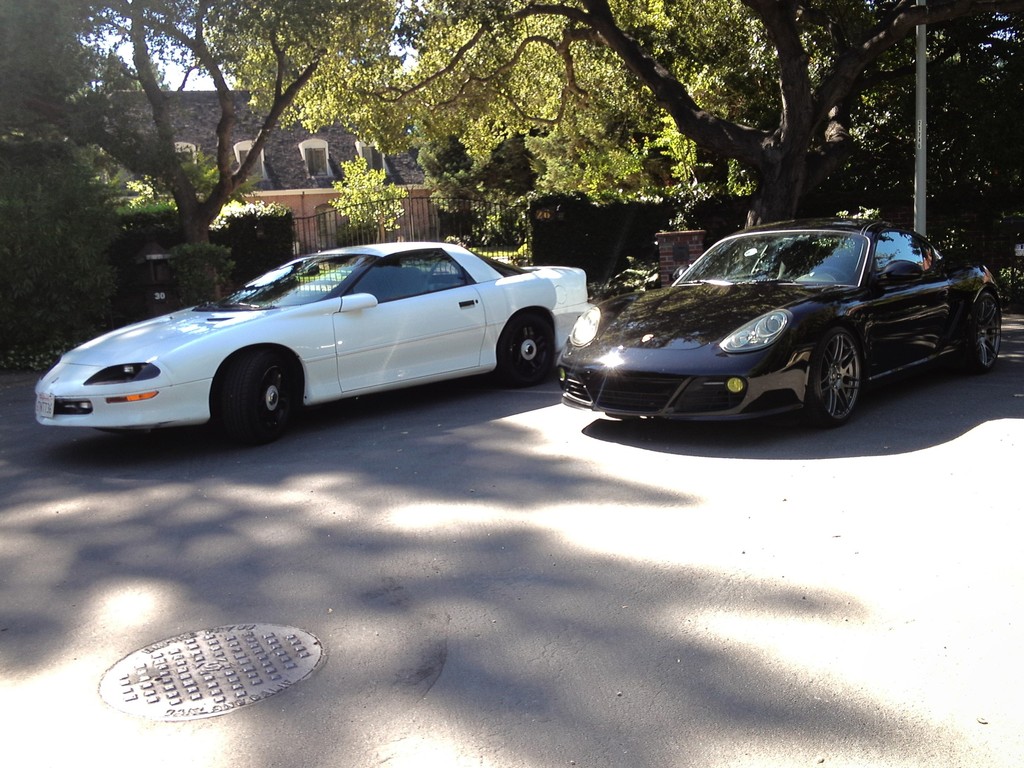 Name:  c466cea4.jpg
Views: 17
Size:  256.6 KB