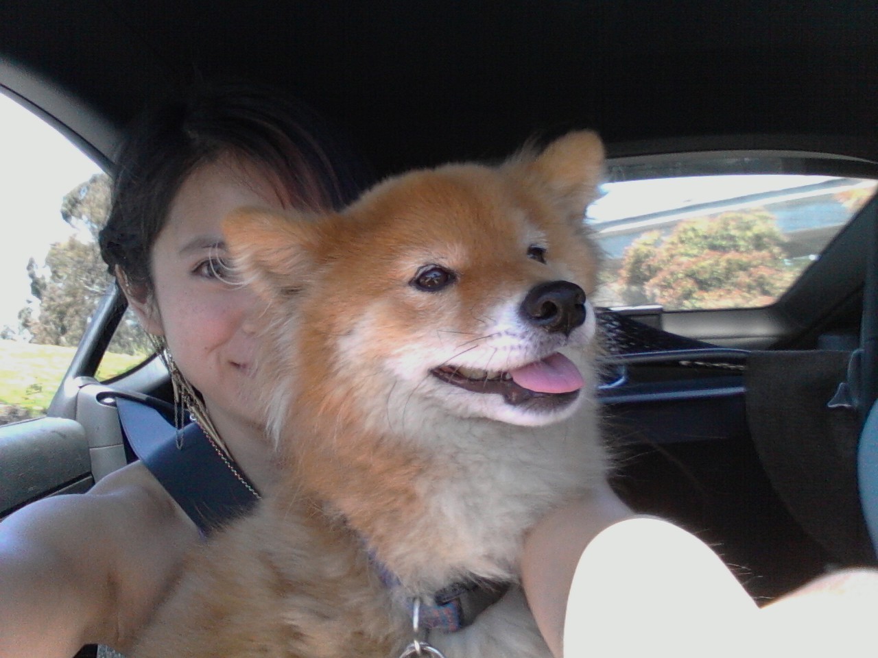 Name:  27de9041.jpg
Views: 15
Size:  221.8 KB