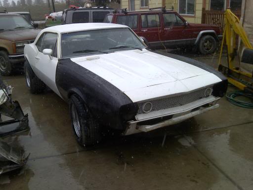 Name:  ImportedPhotos00022.jpg
Views: 22
Size:  26.5 KB