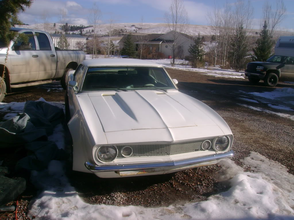 Name:  ImportedPhotos00150.jpg
Views: 18
Size:  154.1 KB