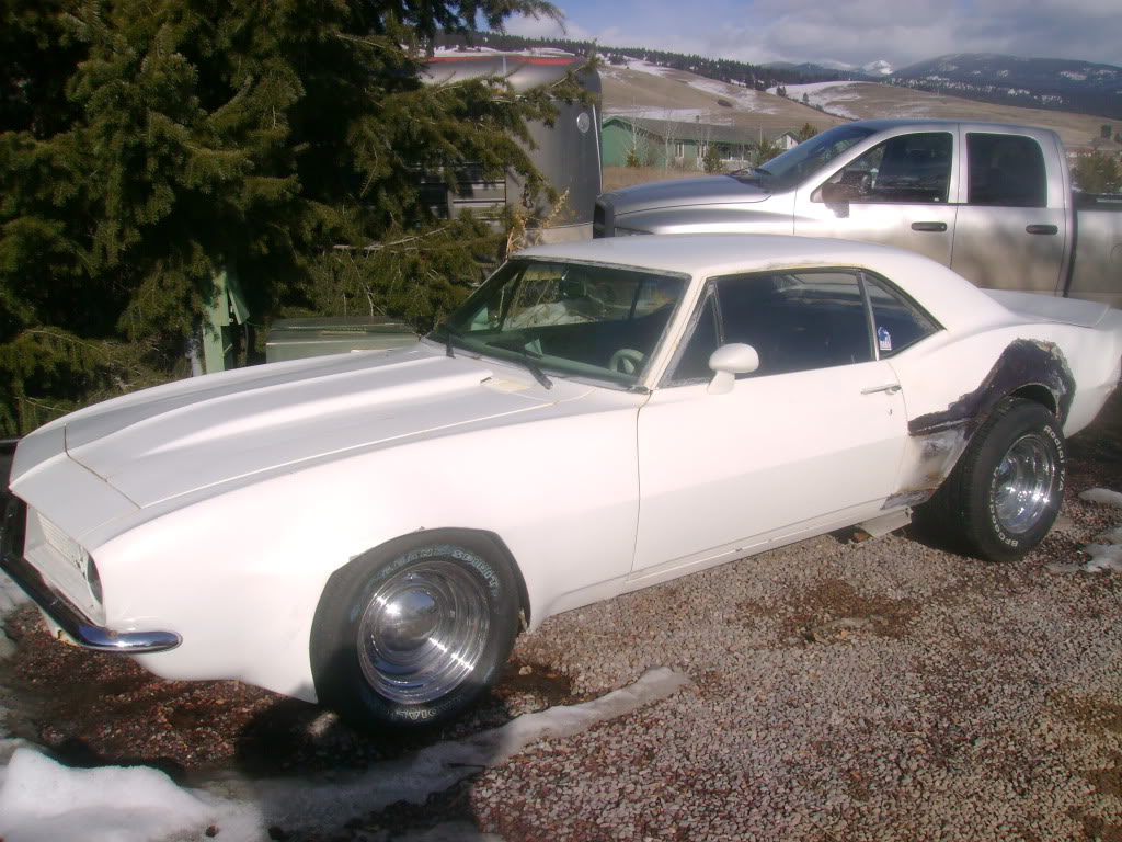 Name:  ImportedPhotos00149.jpg
Views: 20
Size:  164.8 KB