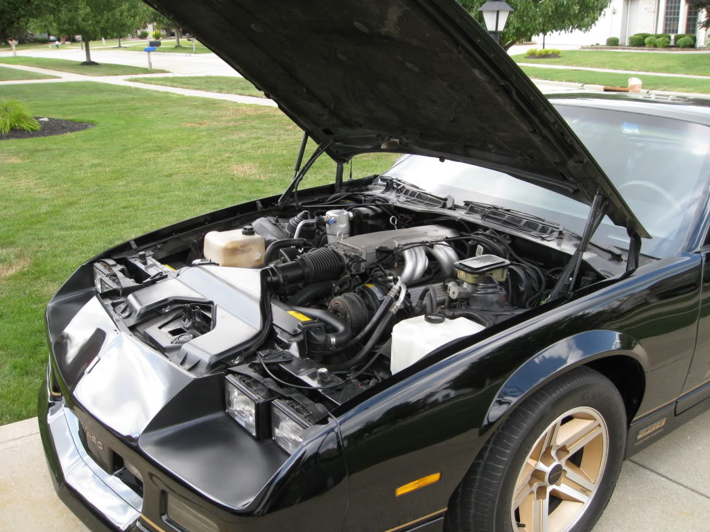 Name:  iroc8.jpg
Views: 331
Size:  171.5 KB