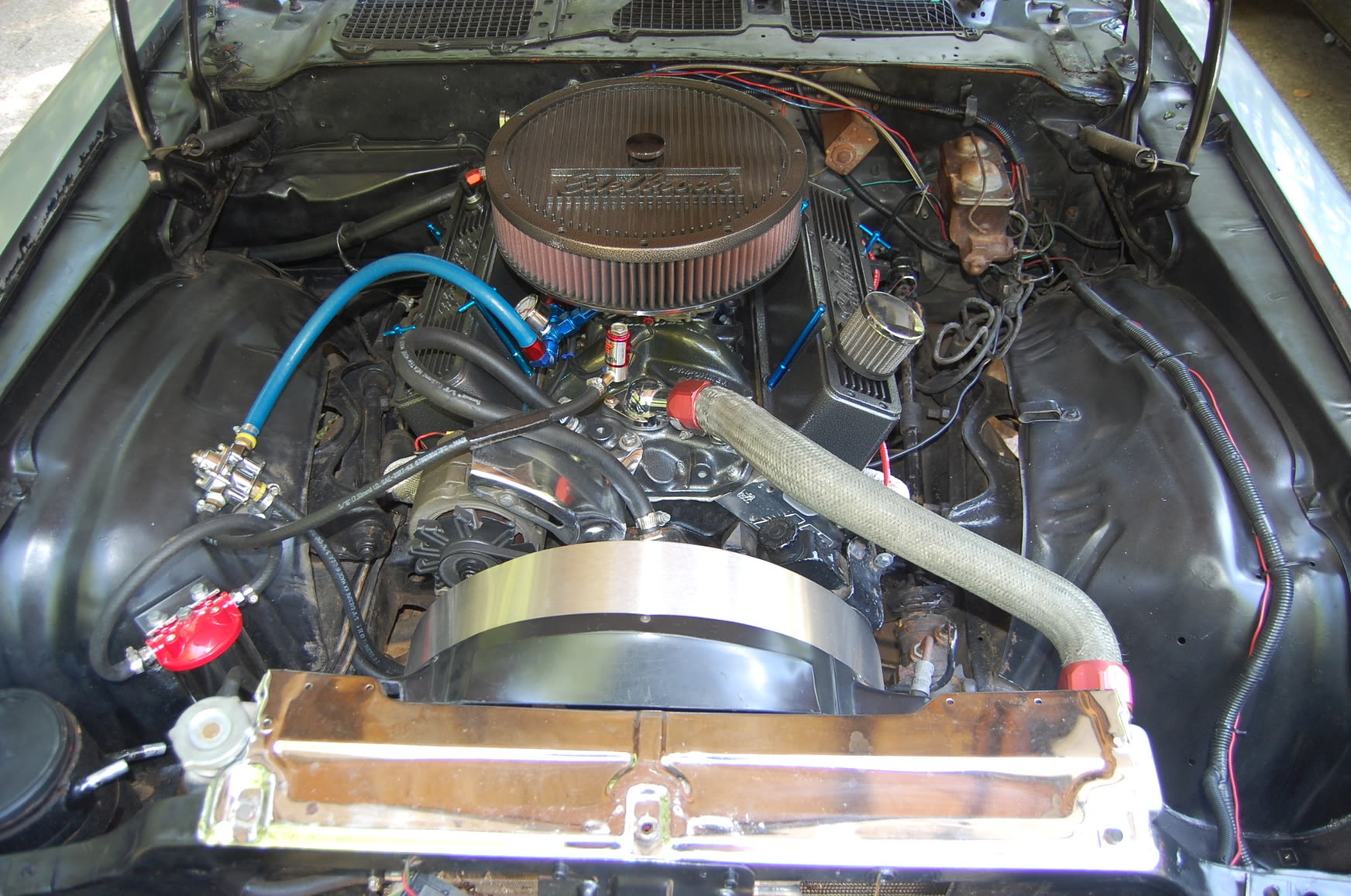 Name:  DSC_1933.jpg
Views: 11
Size:  355.6 KB