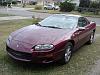  New from DIberville-dsc03388.jpg