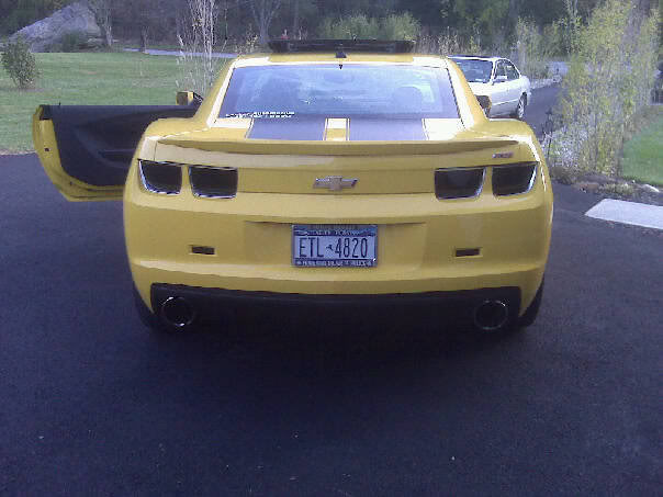 Name:  smokedtails.jpg
Views: 29
Size:  40.8 KB