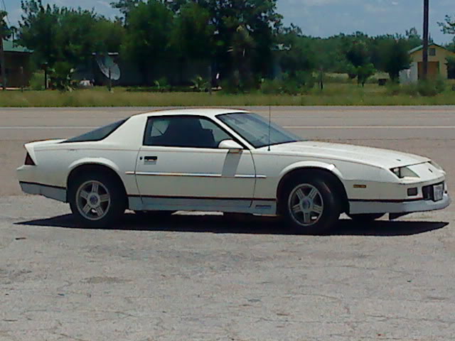 Name:  DSC00056.jpg
Views: 61
Size:  52.1 KB