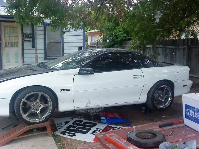 Name:  DSC00057.jpg
Views: 57
Size:  83.9 KB