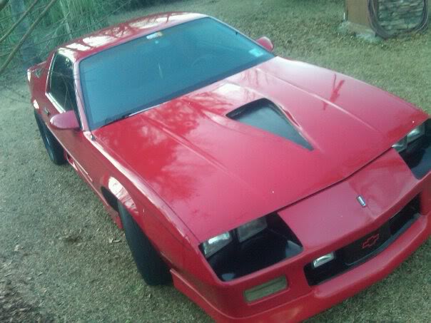 Name:  camaro2.jpg
Views: 23
Size:  49.4 KB