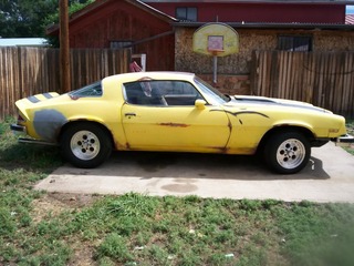 Name:  bumblebee005.jpg
Views: 15
Size:  40.8 KB