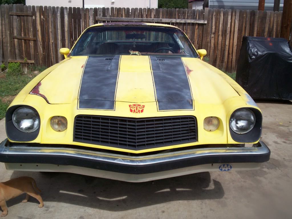 Name:  bumblebee003.jpg
Views: 14
Size:  136.4 KB