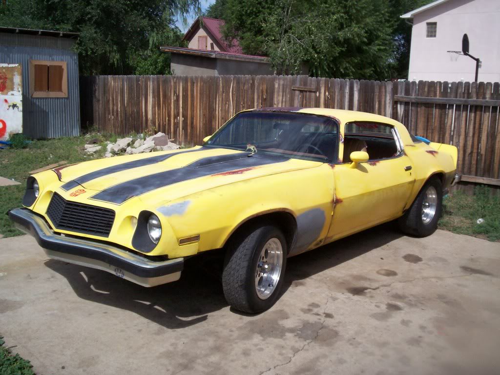 Name:  bumblebee002.jpg
Views: 16
Size:  137.8 KB