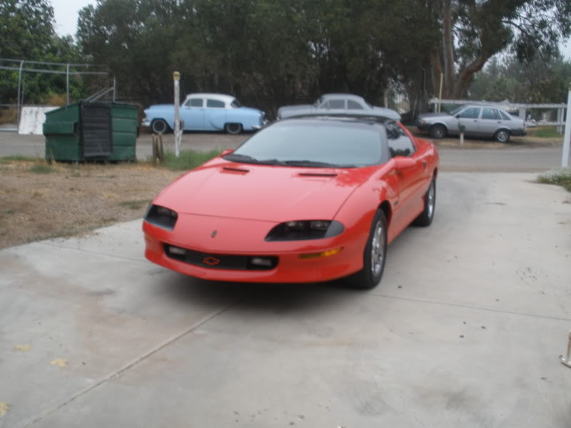 Name:  P7290050.jpg
Views: 15
Size:  69.3 KB