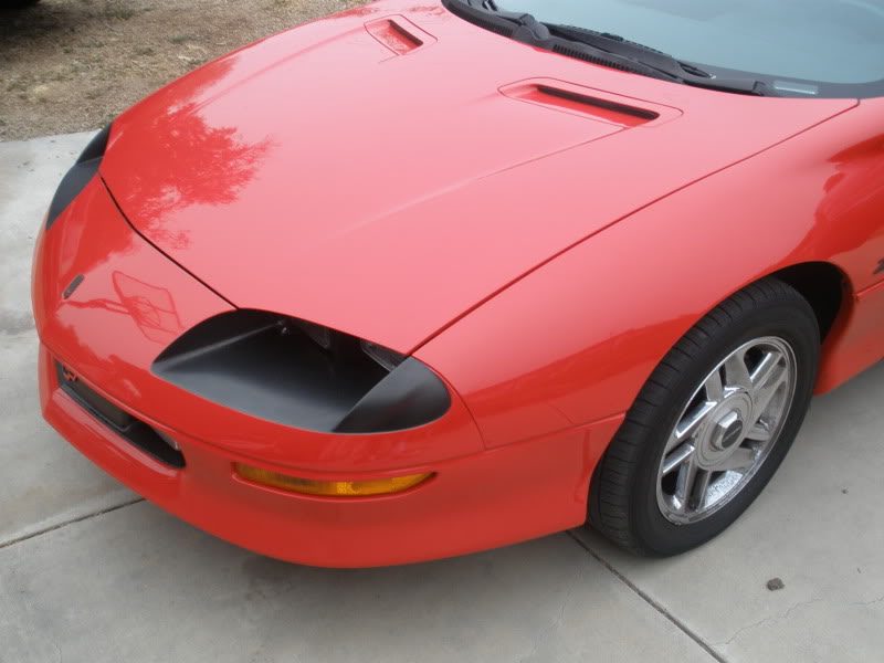 Name:  P7290051.jpg
Views: 14
Size:  73.7 KB