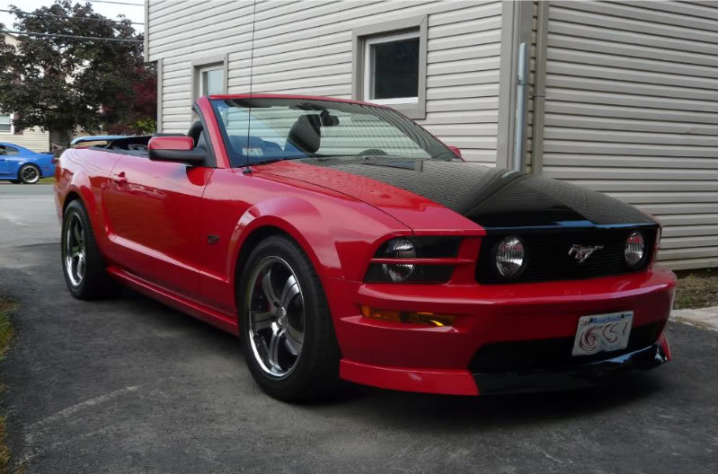 Name:  P1000931-2.jpg
Views: 17
Size:  87.6 KB