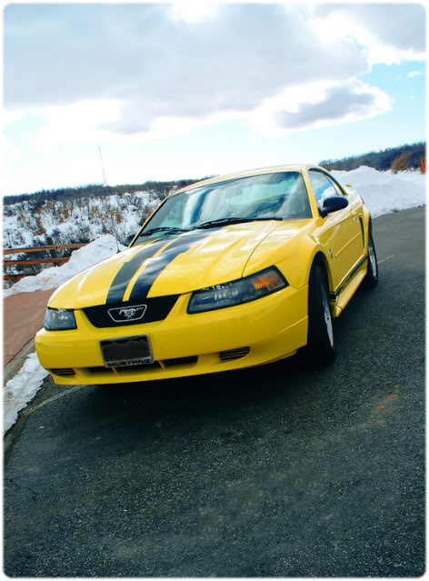 Name:  bumblebee2jpgC41ryd.jpg
Views: 18
Size:  79.8 KB