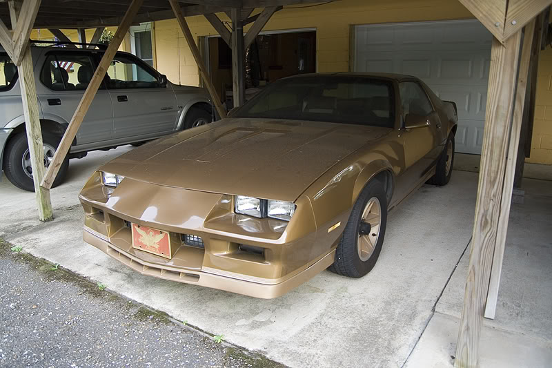 Name:  3rdgen1.jpg
Views: 22
Size:  104.3 KB