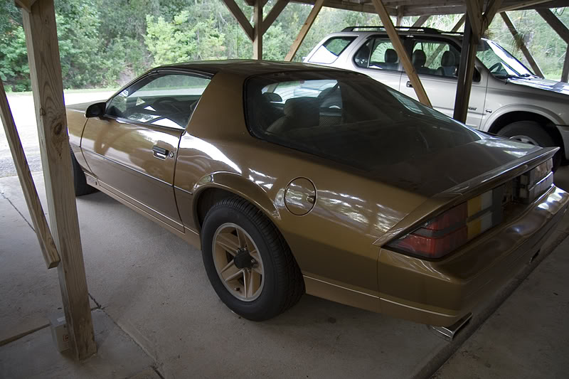 Name:  3rdgen3.jpg
Views: 21
Size:  92.3 KB