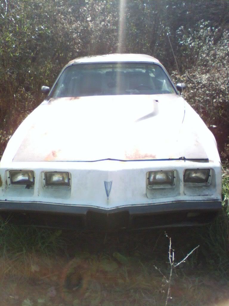 Name:  P_00042.jpg
Views: 37
Size:  88.9 KB