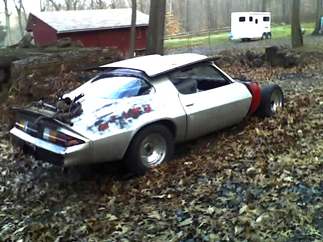 Name:  camaro2.jpg
Views: 13
Size:  61.4 KB