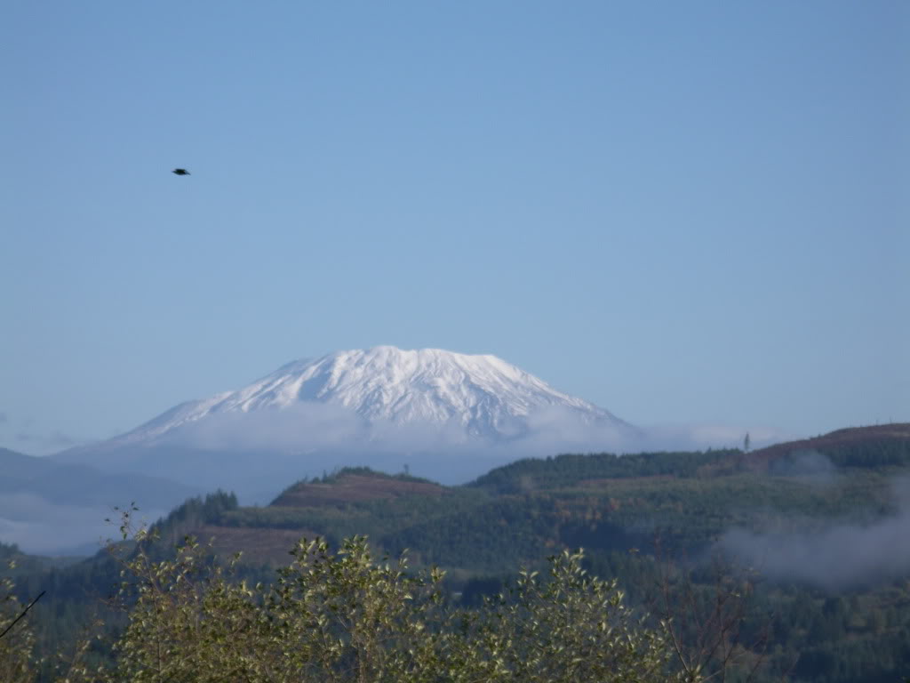 Name:  1a1a004.jpg
Views: 23
Size:  108.6 KB