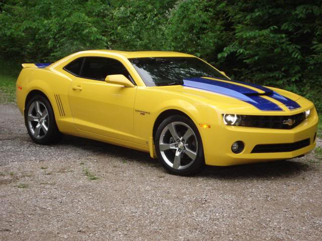 Name:  DSC00893.jpg
Views: 24
Size:  63.6 KB