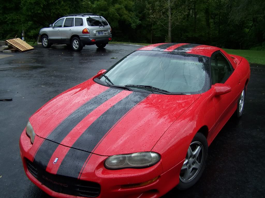 Name:  100_4789.jpg
Views: 70
Size:  143.9 KB