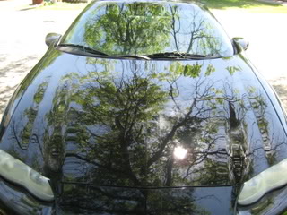 Name:  IMG_0555.jpg
Views: 26
Size:  25.3 KB