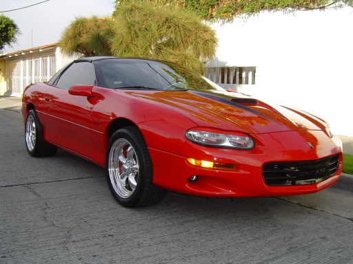 Name:  Borracheras2011.jpg
Views: 48
Size:  49.0 KB