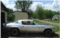 ZL1CAMARO's Avatar